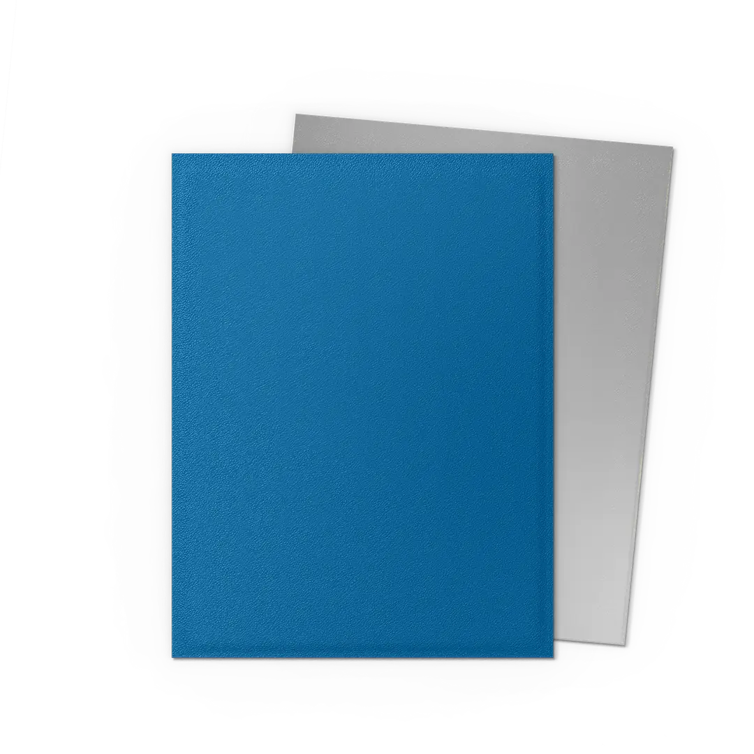 Dragon Shield | Matte Dual Sleeves | Blue Silver