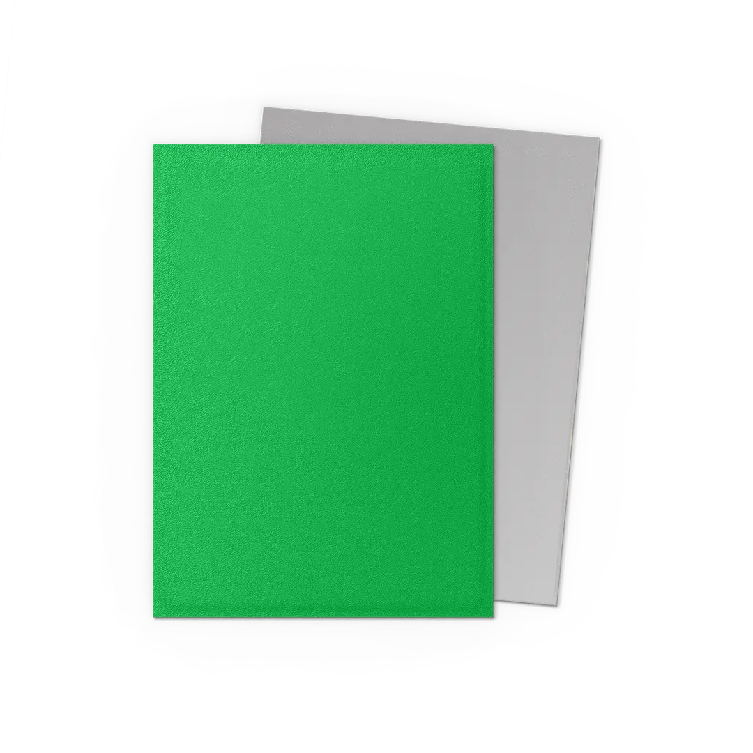 Dragon Shield | Matte Dual Sleeves | Apple Green & Silver