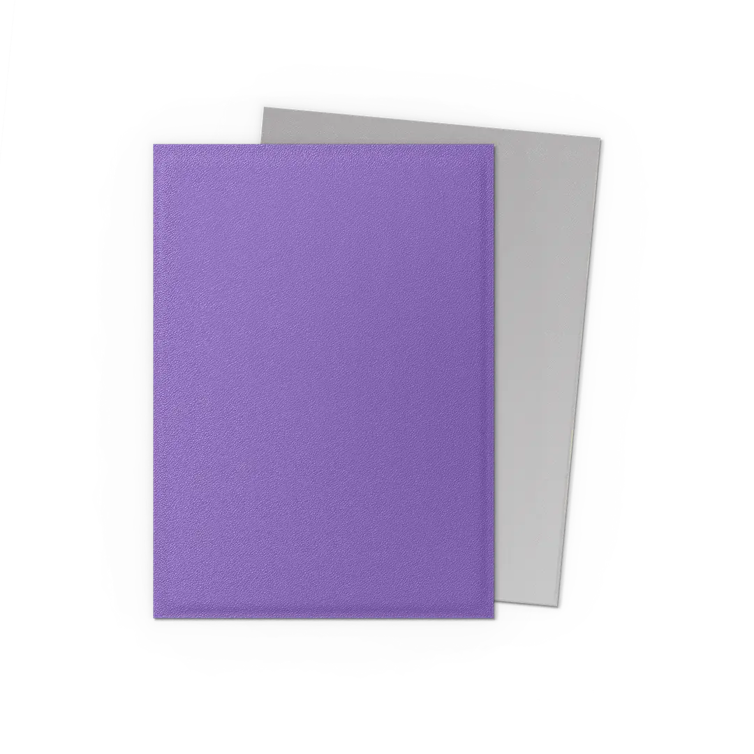 Dragon Shield | Matte Dual Sleeves | Nebula & Silver